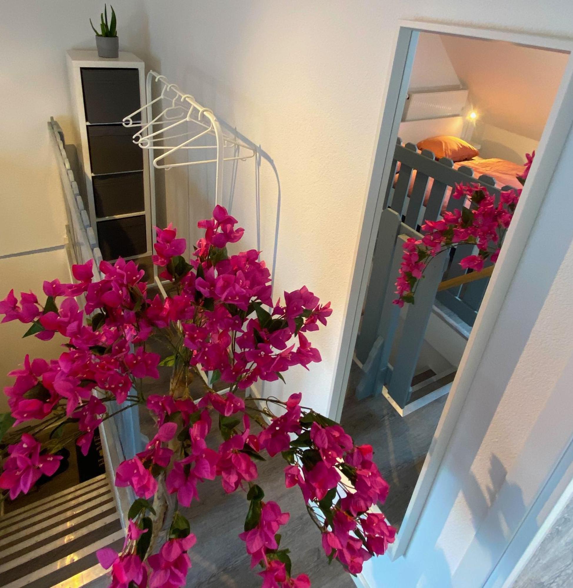 Ruhige, Neue Dachwohnung An Altstadt, Naehe Messe Apartment